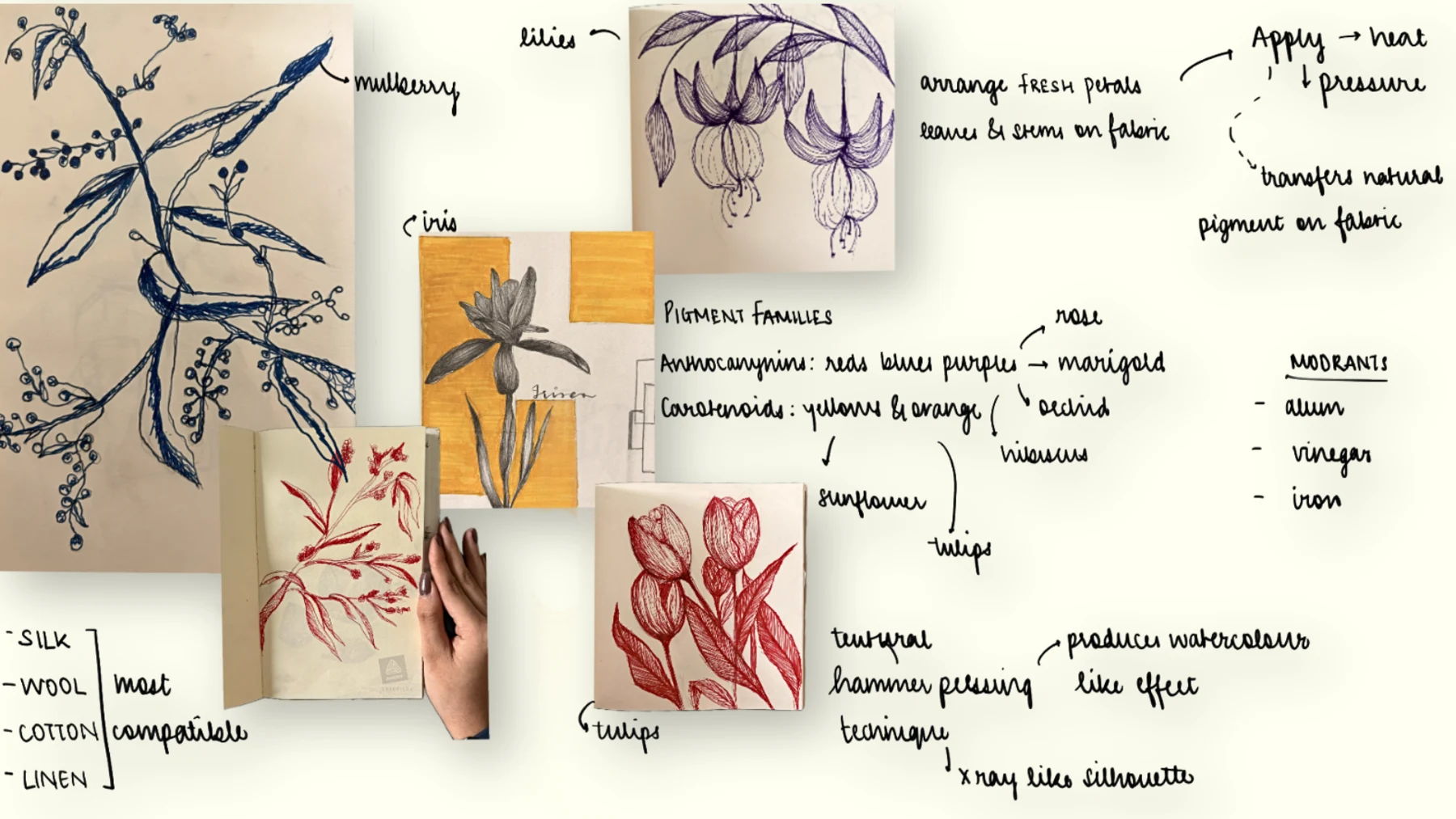 RESURGENCE: Botanical and fibre research